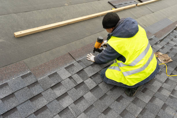 Best Roof Gutter Cleaning  in Winchester, VA